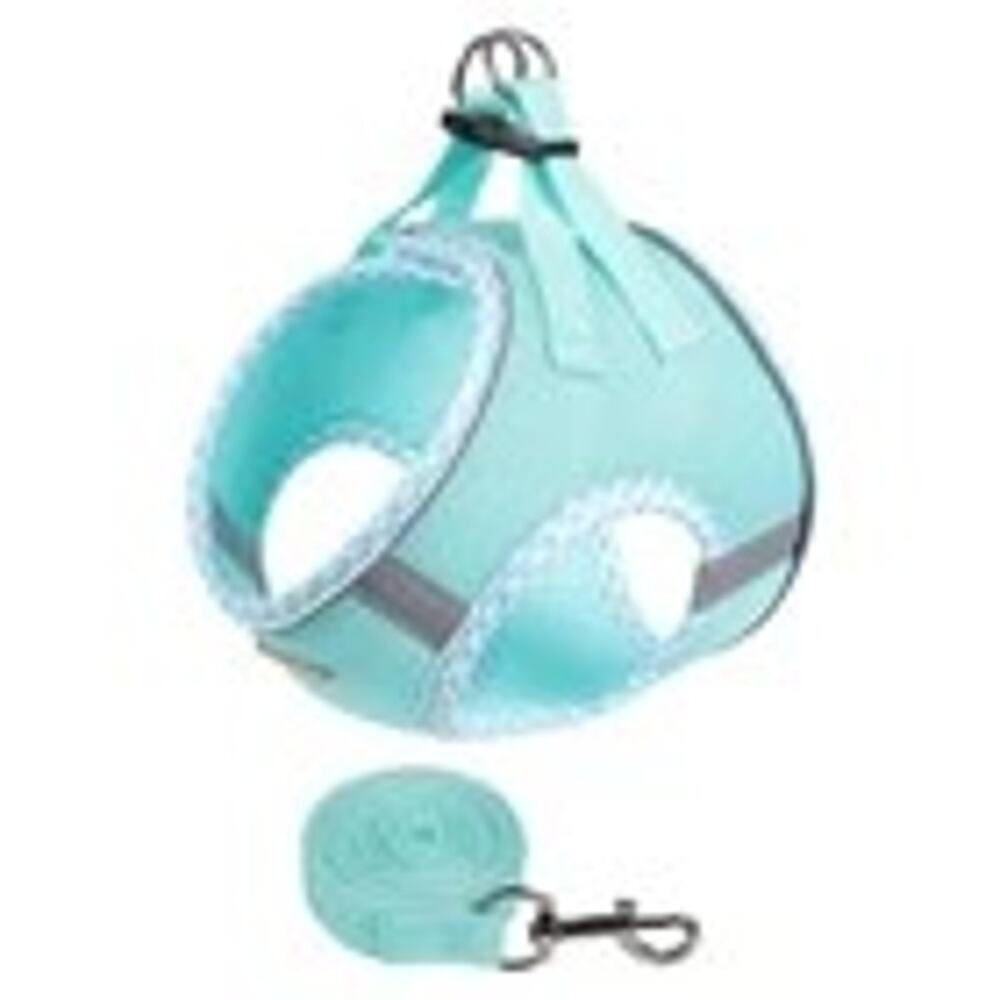 Dog Cat Mesh Step In Small S Pet Harness with Leash Set NEW Mint Green